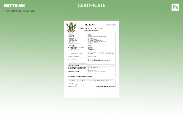 модерен стил Зимбабве од витално значење за евиденција за смртен шаблон Word и P